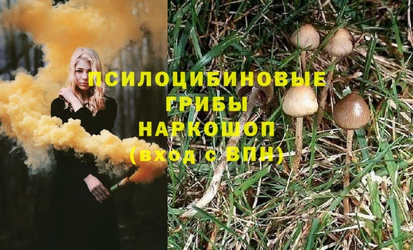 стафф Балахна