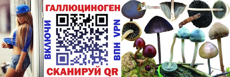 купить закладку Луховицы OMG зеркало Псилоцибиновые грибы ЛСД