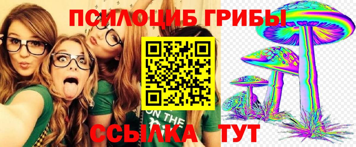 Галлюциногенные грибы Magic Shrooms Луховицы
